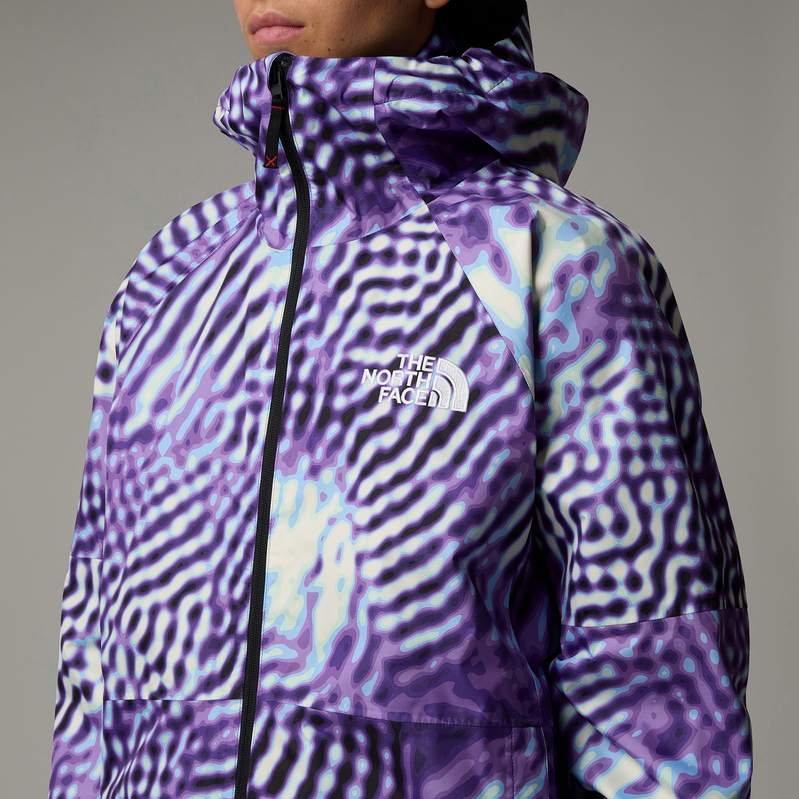 The North Face