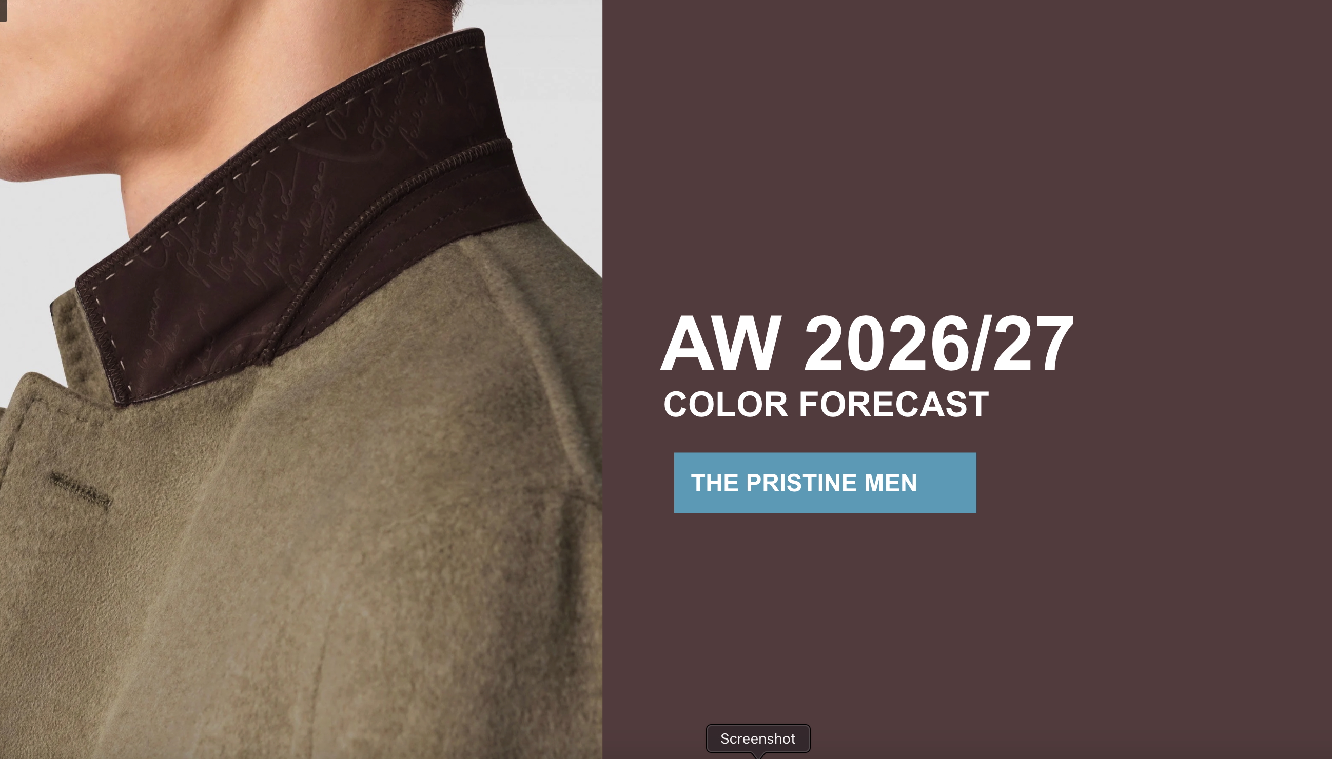 AW 2026/27 Color Forecast- The Pristine Men