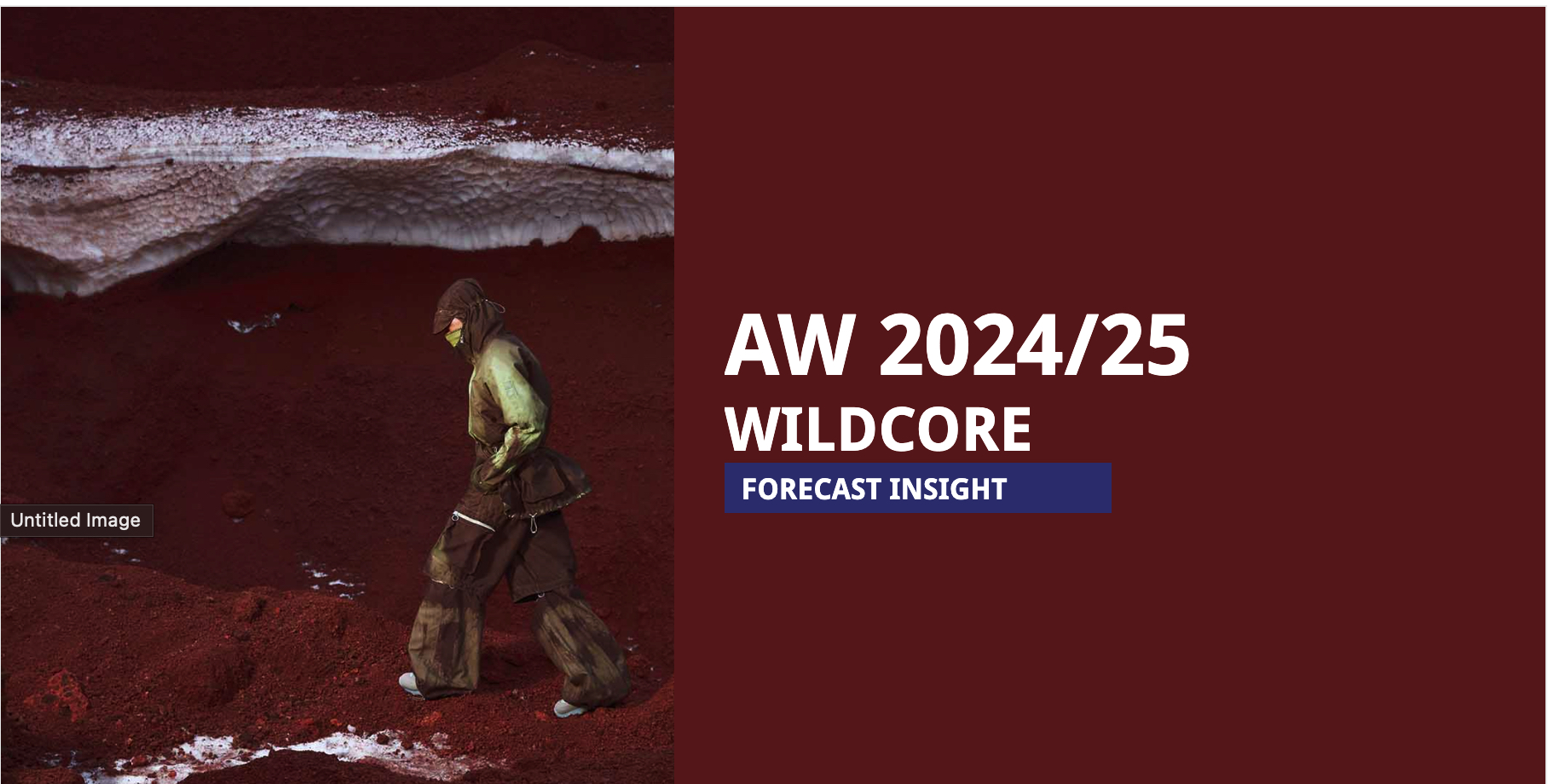 AW 2024/25 Fashion forecast- wildcore