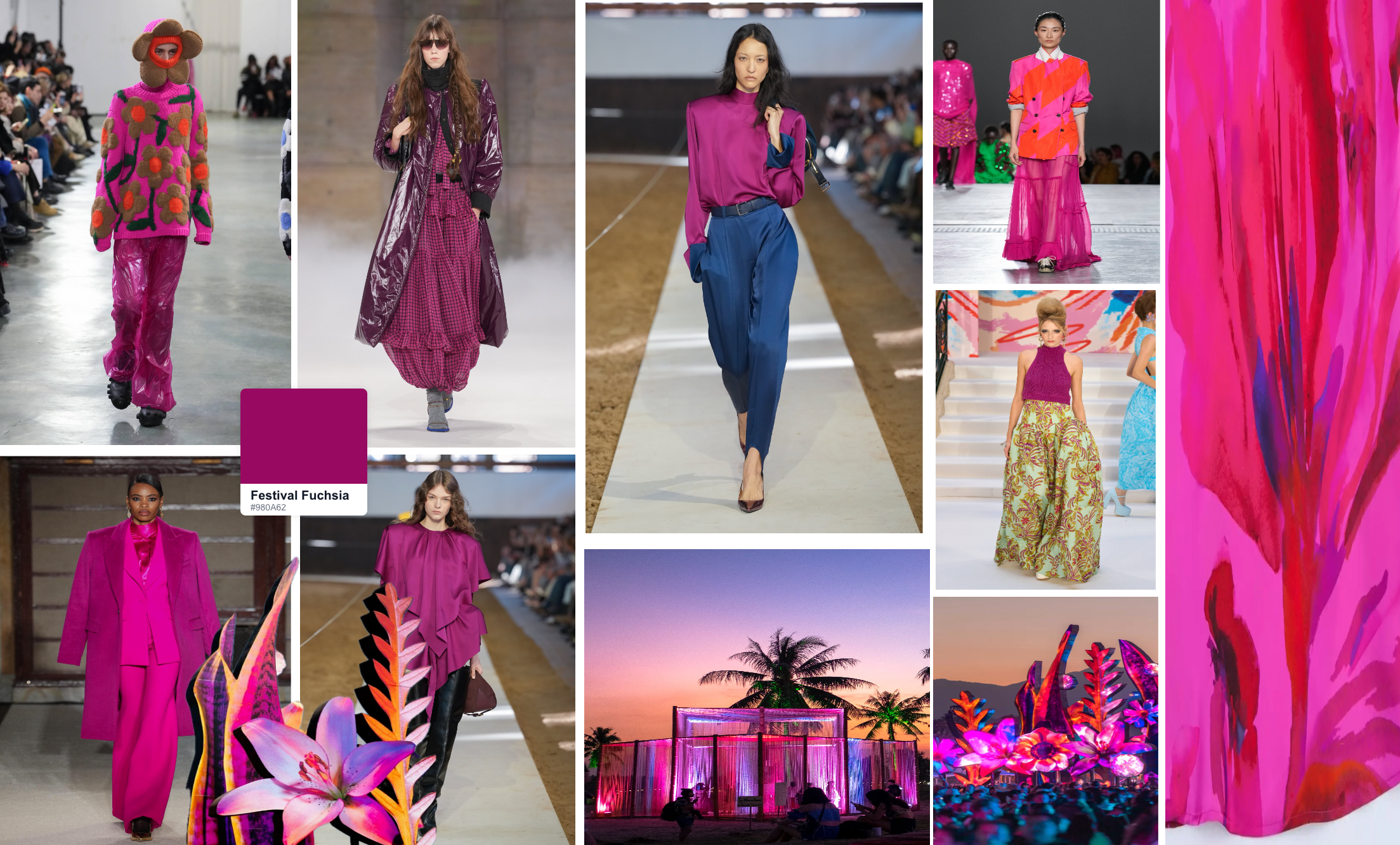 Key color - Pantone Fuchsia 